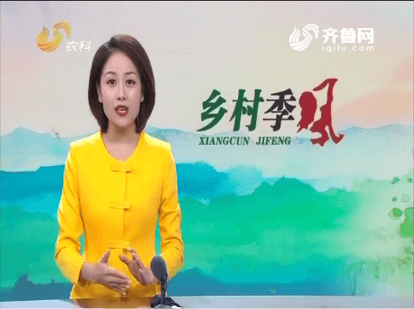 长毛兔——新绒兔，含绒量达80％，一斤绒毛一百二