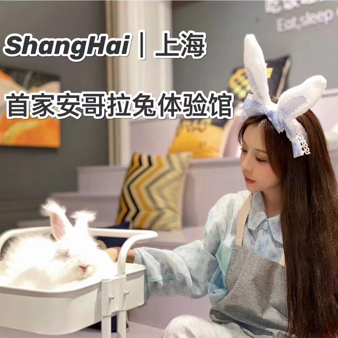 上海安哥拉兔体验馆