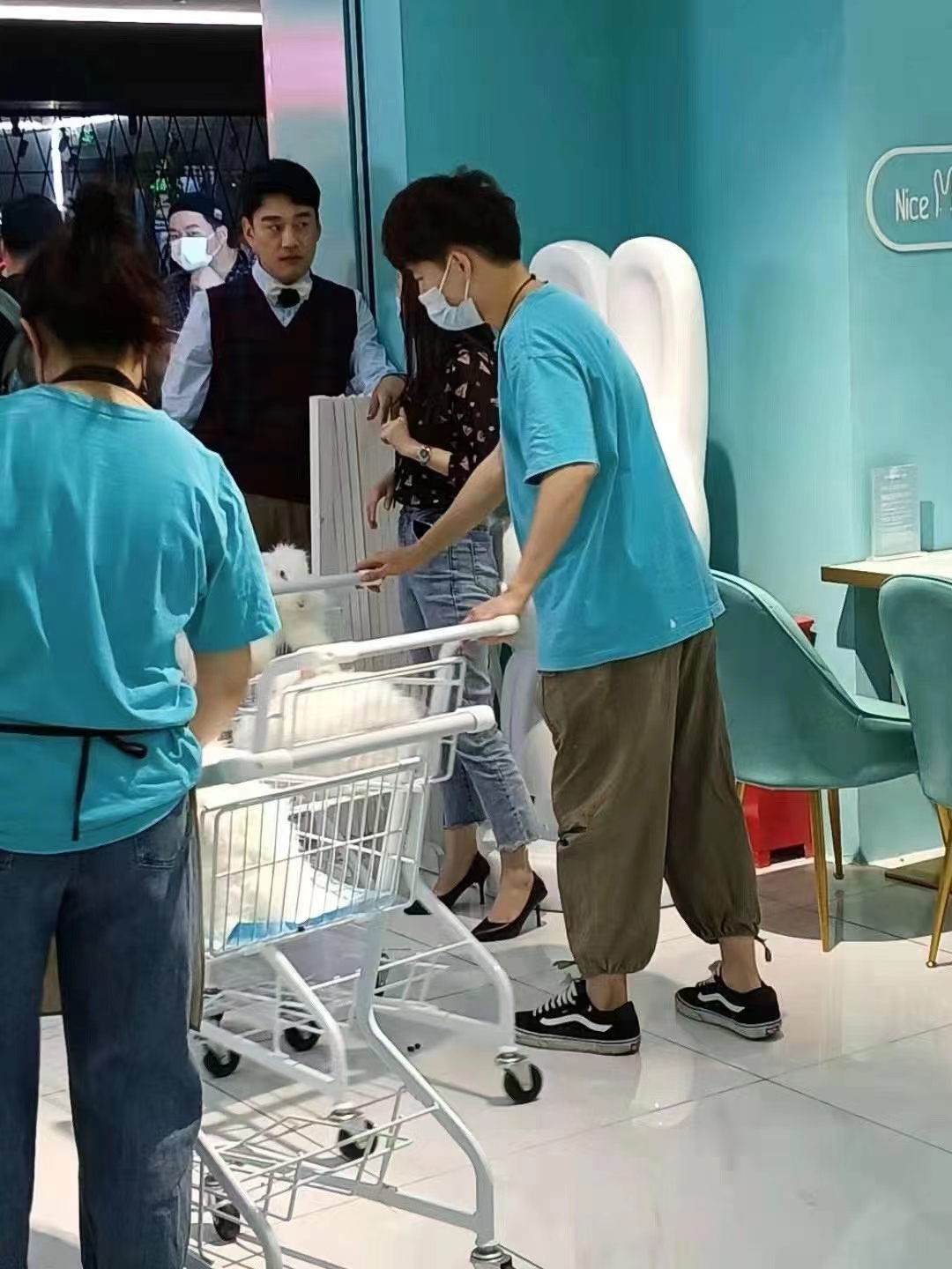 长毛兔的种类和饲养注意事项