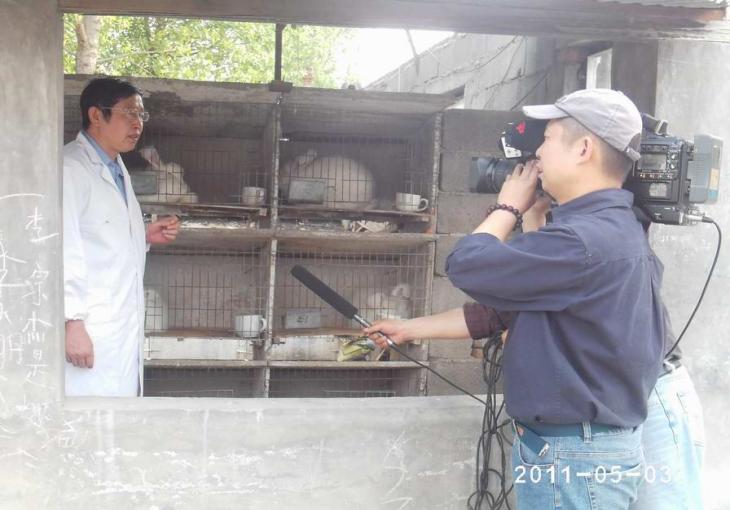 CCTV-7在鑫华种兔场采访姜主任